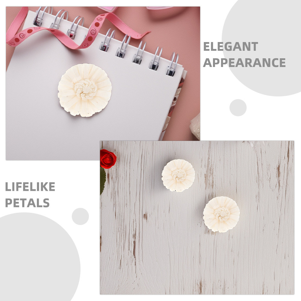8 Pezzi di Fiori Artificiali d - Aromatherapy Diffuser recensione e prezzo